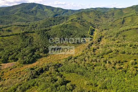 Участок в Приморский край, Партизанский муниципальный округ, с. ...