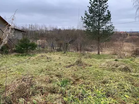 Участок в Ленинградская область, Гатчинский район, пос. Пудость  (6.0 ...