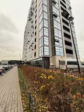 Студия Санкт-Петербург Пулковское ш., 14Г (26.5 м)