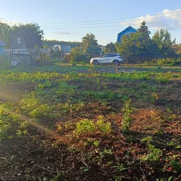 Участок в Нижегородская область, Нижний Новгород № 3 СНТ, 423 (6.0 ...