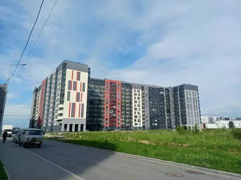 Студия Ленинградская область, Мурино Всеволожский район, ул. ...