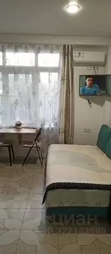 Студия Краснодарский край, Сочи Мамайка мкр, ул. Крымская, 65Б (22.0 ...