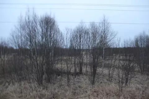 Участок в Московская область, Шаховская муниципальный округ, д. ...