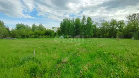 Участок в Белгородская область, Белгородский район, Никольское с/пос, ...