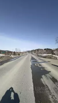 Участок в Алтай, Майминский район, Поселок филиал  (7.7 сот.)