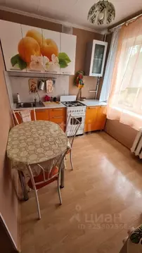 3-к кв. Амурская область, Благовещенск ул. Мухина, 87 (54.3 м)