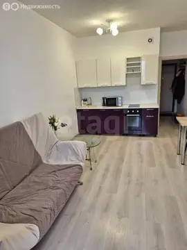 Квартира-студия: Санкт-Петербург, Комендантский проспект, 66к3 (25 м)