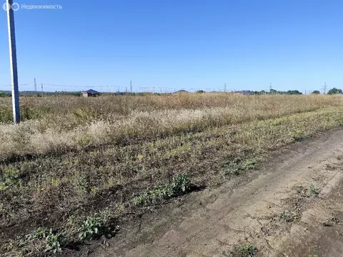 Участок в Белгородская область, Яковлевский муниципальный округ, село ...
