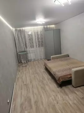 Студия Красноярский край, Красноярск ул. Карамзина, 8 (26.0 м)