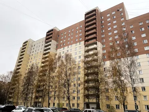 2-к кв. Санкт-Петербург Ленинский просп., 95К2 (50.6 м)