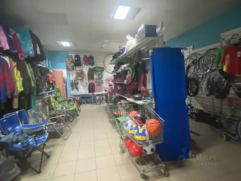 Помещение свободного назначения в Пензенская область, Пенза Одесская ...