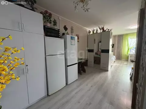 Квартира-студия: Бирск, улица Карла Маркса, 50 (39.1 м)