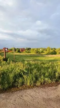 Участок в Тульская область, Веневский муниципальный округ, с. Козловка ...