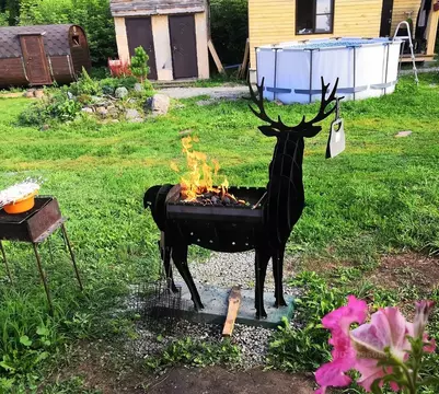 Участок в Алтайский край, Алтайский район, Айский сельсовет, с. Ая ул. ...