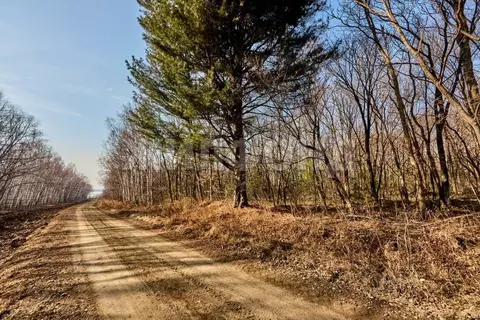 Участок в Хабаровский край, Хабаровский район, с. Казакевичево ул. ...
