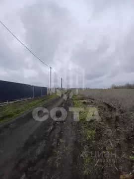 Участок в Воронежская область, Новоусманский район, с. Орлово  (9.0 ...
