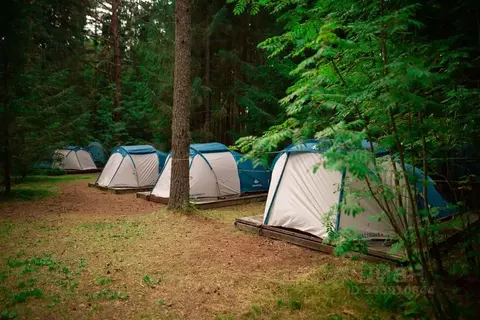 Комната Новгородская область, Валдайский район, Ивантеевское с/пос, д. ...