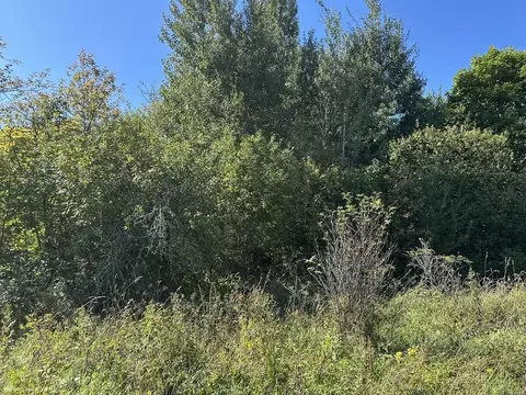 Участок в Московская область, Серебряные Пруды муниципальный округ, с. ...