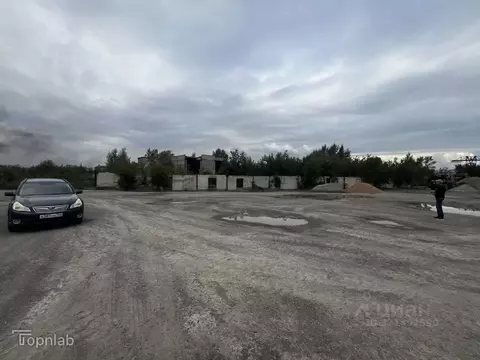 Помещение свободного назначения в Алтайский край, Барнаул Деловой ...