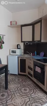 Квартира-студия: Красноярск, улица Вильского, 16 (29.4 м)