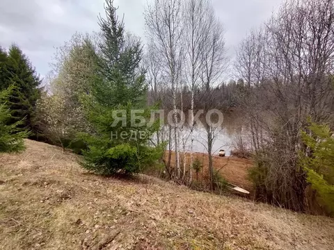 Участок в Пермский край, Березники муниципальное образование Город, д. ...