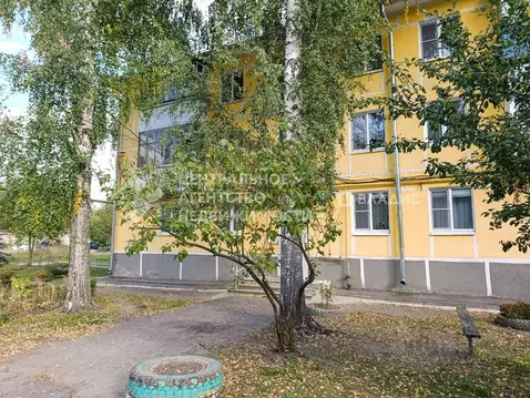 3-к кв. Рязанская область, Шилово рп ул. Рязанская, 119 (52.5 м)