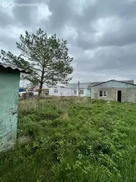 Дом в Щёкинский район, сельское поселение Крапивенское, деревня ...