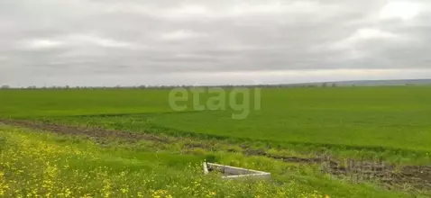 Участок в Крым, Ленинский район, Заветненское с/пос, с. Заветное ул. ...