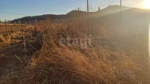 Участок в Алтай, Майминский район, с. Кызыл-Озек ул. Радужная, 23 ...