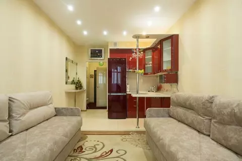 Студия Санкт-Петербург просп. Народного ополчения, 10 (28.0 м)