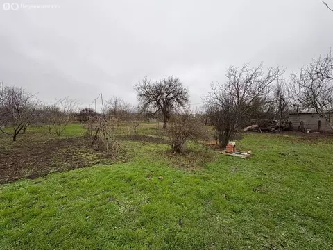 Участок в станица Должанская, переулок Советов (12 м)