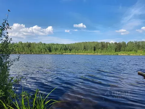 Участок в Московская область, Дмитровский муниципальный округ, д. ...