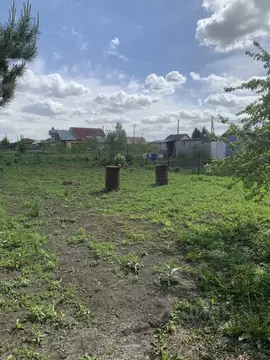 Участок в Алтайский край, Павловский район, с. Шахи Новая ул., 14 ...