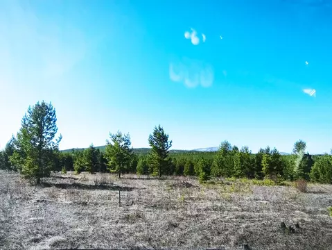 Участок в Бурятия, Тарбагатайский район, Заводское муниципальное ...