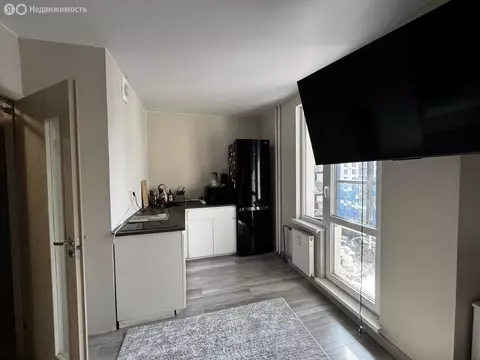 Квартира-студия: Санкт-Петербург, Вилькицкий бульвар, 6 (29 м)