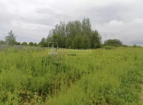 Участок в Владимирская область, Собинский муниципальный округ, д. ...