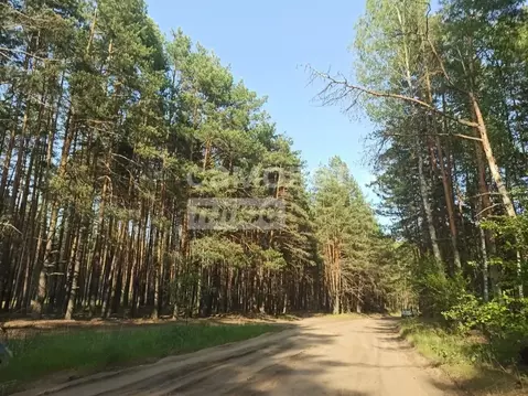 Участок в Калужская область, Перемышльский муниципальный округ, ...