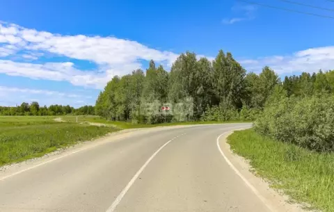 Участок в Тюменская область, Ялуторовский муниципальный округ, Поле ...