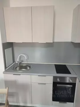 1-к кв. Санкт-Петербург Дальневосточный просп., 19к1 (33.0 м)