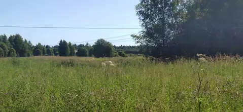 Участок в Московская область, Талдомский городской округ, с. Квашенки  ...