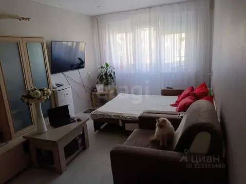 2-к кв. Челябинская область, Челябинск ул. Куйбышева, 73 (42.7 м)