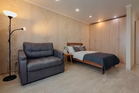 Студия Самарская область, Самара ул. Ерошевского, 31 (37.0 м)