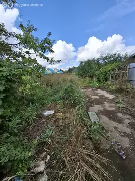 Участок в Туймазы, улица Орджоникидзе (8 м)