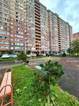 Студия Московская область, Сергиев Посад просп. Красной Армии, 251а ...