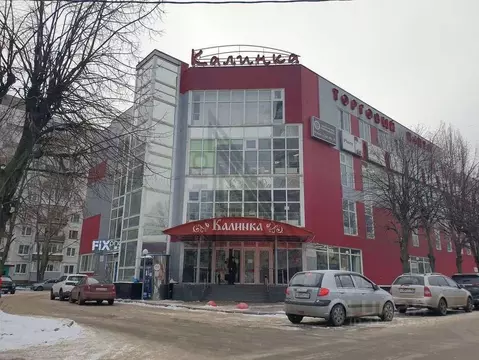 Торговая площадь в Воронежская область, Воронеж ул. Генерала Лизюкова, ...