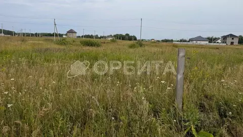 Участок в Тюменская область, Тюменский муниципальный округ, д. Большие ...