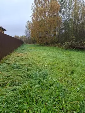 Участок в Московская область, Егорьевск муниципальный округ, д. ...