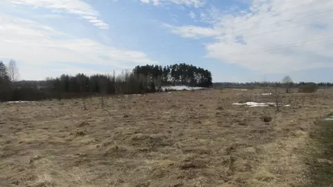 Участок в Московская область, Рузский муниципальный округ, д. Орешки  ...