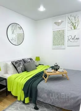 1-к кв. Татарстан, Казань ул. Декабристов, 129 (24.0 м)