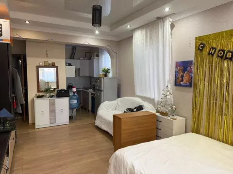 Студия Краснодарский край, Сочи ул. Просвещения, 157/2 (28.0 м)